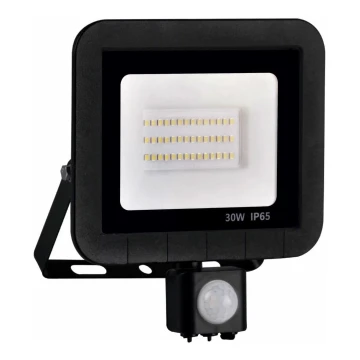 LED reflektor s senzorjem LED/30W/230V IP65