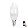 LED RGBW Žarnica C37 E14/4,9W/230V 2700-6500K - Aigostar