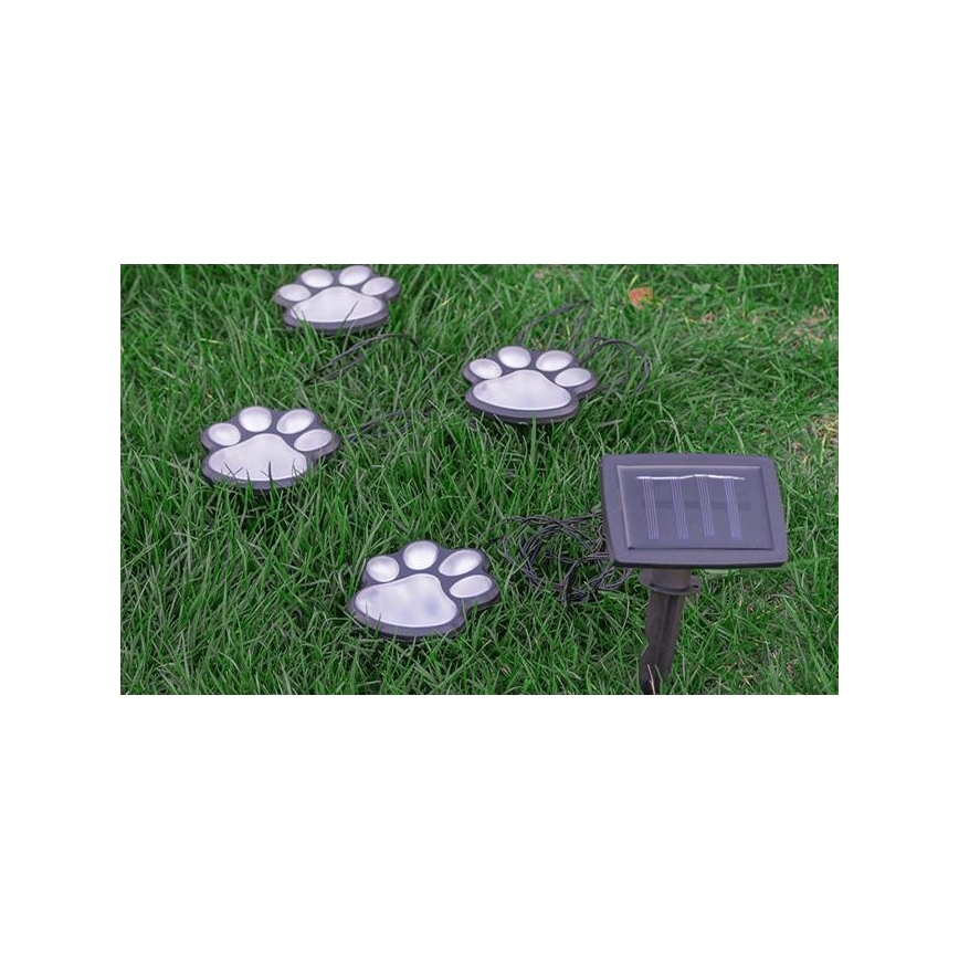 LED Solarna svetilka LED/0,14W/2V IP44 paws