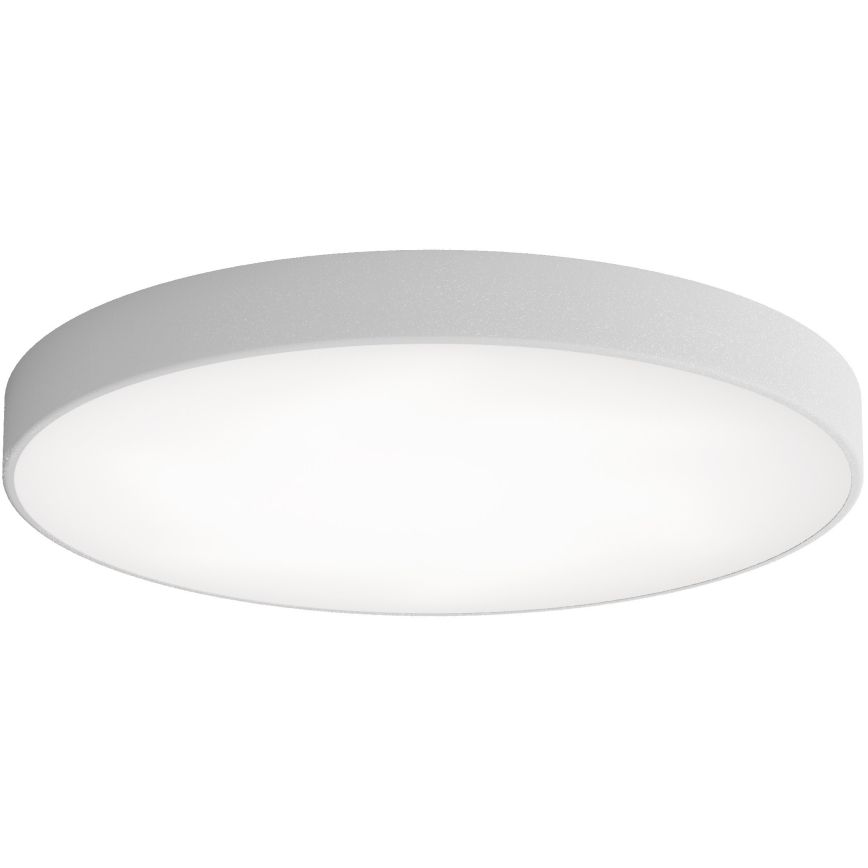 LED Stropna svetilka CLEO LED/96W/230V 4000K pr. 80 cm siva