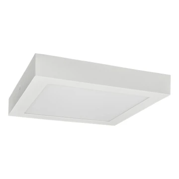 LED Stropna svetilka FENIX LED/12W/230V 2800K 17 cm