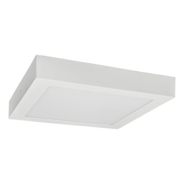 LED Stropna svetilka FENIX LED/12W/230V 3800K 17 cm