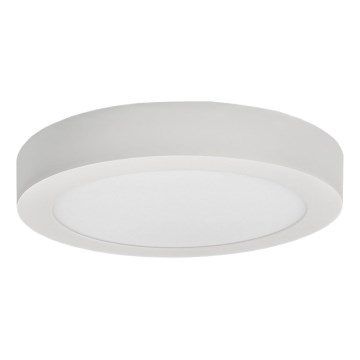 LED Stropna svetilka FENIX LED/12W/230V 3800K pr. 17 cm