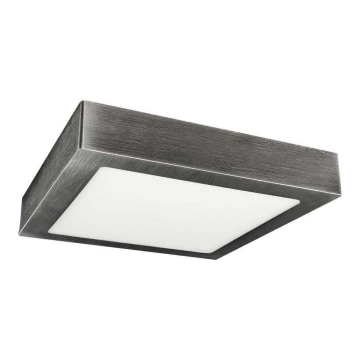 LED Stropna svetilka FENIX LED/18W/230V 3800K 22,5 cm