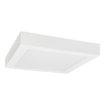 LED Stropna svetilka FENIX LED/18W/230V 3800K 22,5 cm snow bela