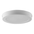 LED Stropna svetilka LED/12W/230V 6500K bela