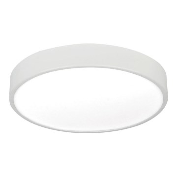 LED Stropna svetilka LED/12W/230V