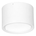 LED Stropna svetilka LED/16W/230V bela d. 12 cm