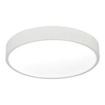 LED Stropna svetilka LED/24W/230V