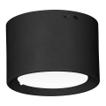 LED Stropna svetilka LED/6W/230V črna pr. 8 cm