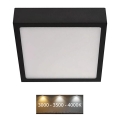 LED Stropna svetilka NEXXO LED/12,5W/230V 3000/3500/4000K 17x17 cm črna