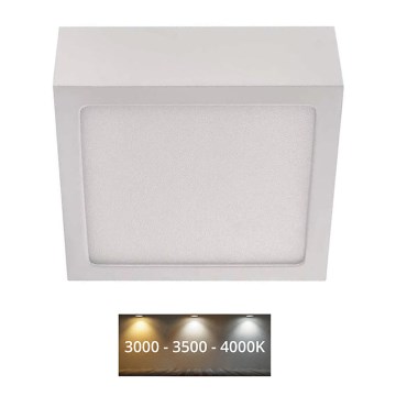 LED Stropna svetilka NEXXO LED/7,6W/230V 3000/3500/4000K 12x12 cm bela