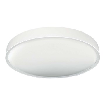 LED Stropna svetilka SAMER LED/24W/230V 4000K