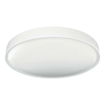 LED Stropna svetilka SAMER LED/40W/230V 4000K