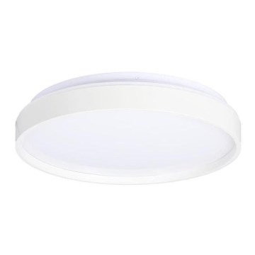 LED Stropna svetilka TEXAS LED/15W/230V bela