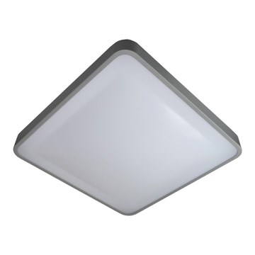 LED Stropna svetilka WILTON LED/24W/230V siva