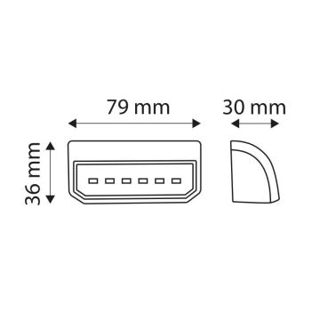 LED Svetlobni reflektor LICE LED/0,2W/12-24V IP67