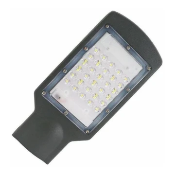 LED Ulična svetilka LED/30W/170-400V IP67