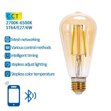 LED Žarnica FILAMENT ST64 E27/6W/230V 2700-6500K - Aigostar