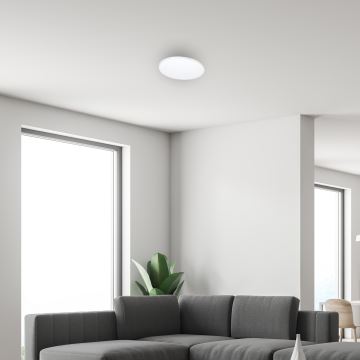 LED Zatemnitvena stropna svetilka z daljinskim upravljalnikom SIENA LED/25W/230V
