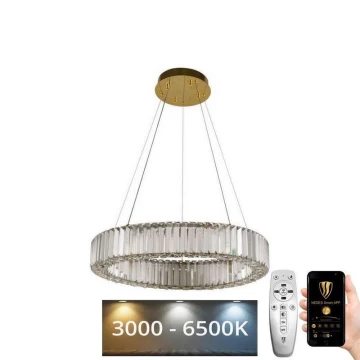 LED Zatemnitveni kristalni lestenec na vrvici LED/40W/230V 3000-6500K krom/zlata + Daljinski upravljalnik