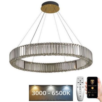 LED Zatemnitveni kristalni lestenec na vrvici LED/50W/230V 3000-6500K krom/zlata + Daljinski upravljalnik