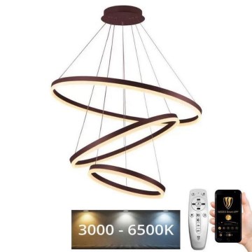 LED Zatemnitveni lestenec na vrvici LED/125W/230V 3000-6500K + Daljinski upravljalnik