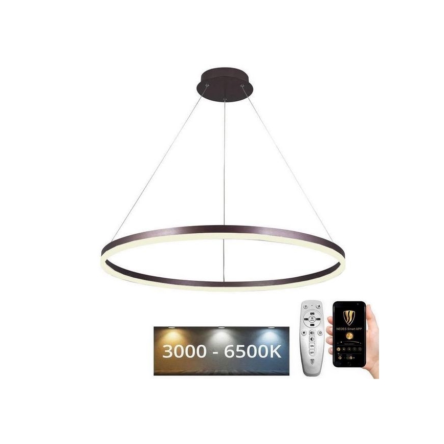 LED Zatemnitveni lestenec na vrvici LED/55W/230V 3000-6500K + Daljinski upravljalnik