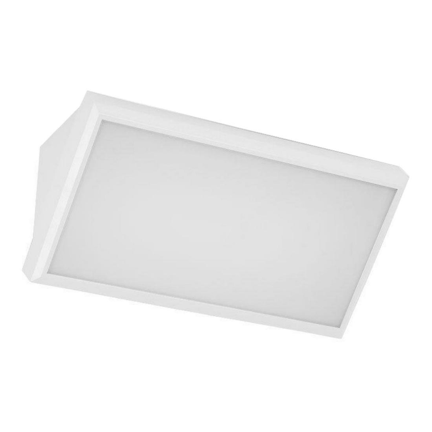 LED Zunanja stenska svetilka LED/20W/230V 3000K IP65 bela