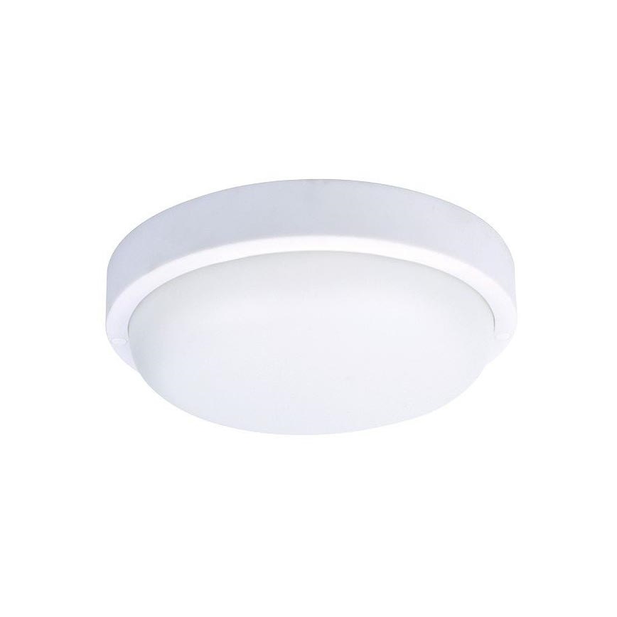 LED Zunanja stenska svetilka LED/20W/230V IP54