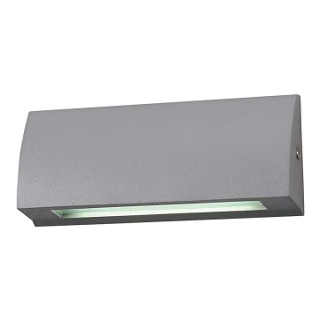 LED Zunanja stenska svetilka LED/6W/230V IP54