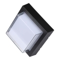 LED Zunanja stenska svetilka LED/7W/230V IP65