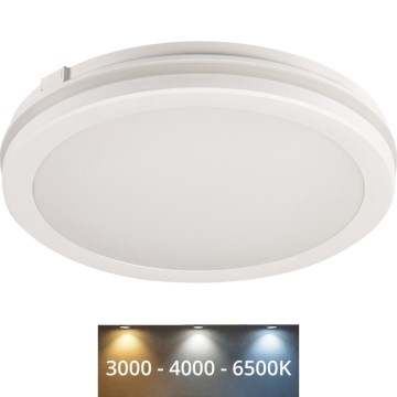 LED Zunanja stropna svetilka BENO ECO LED/12W/230V 3000/4000/6500K pr. 20 cm IP65 bela