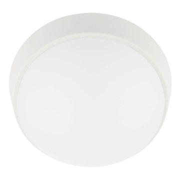 LED Zunanja stropna svetilka LED/12W/230V 3000/4000/6500K IP65 bela