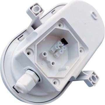 LED Zunanja stropna svetilka LED/6W/230V 4000K IP54 bela