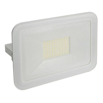 LED Zunanji reflektor LED/50W/220-265V IP65