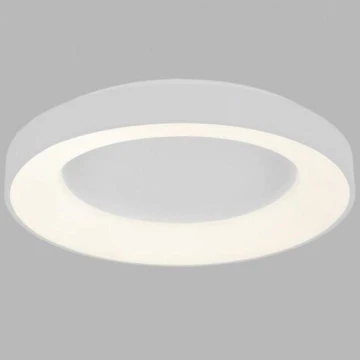 LED2 - LED Stropna svetilka BELLA LED/40W/230V 3000/4000K bela
