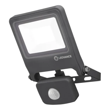 Ledvance - LED Reflektor ENDURA s senzorjem LED/20W/230V IP44