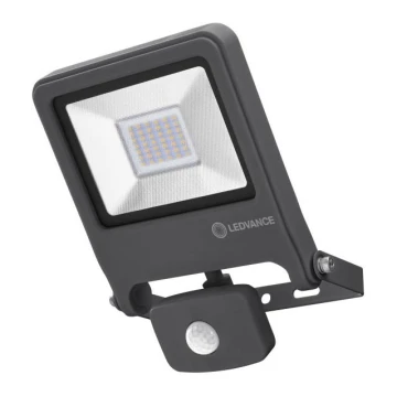 Ledvance - LED Reflektor ENDURA s senzorjem LED/30W/230V IP44