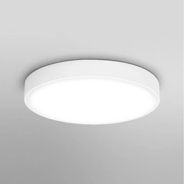 Ledvance - LED Stropna svetilka ORBIS SLIM LED/24W/230V bela