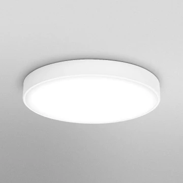 Ledvance - LED Stropna svetilka ORBIS SLIM LED/36W/230V bela