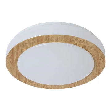 Lucide 79179/12/72 - LED Zatemnitven ceiling kopalnica svetel DIMY LED/12W/230V