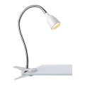 Markslöjd 106091 - LED Namizna svetilka s sponko TULIP LED/3W/230V bela