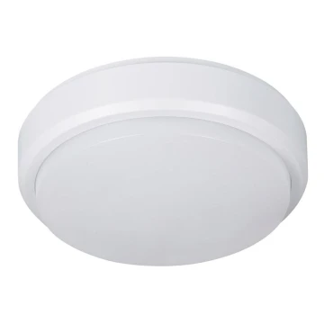 Müller-Licht - LED Zunanja stropna svetilka PICTOR LED/8W/230V IP54