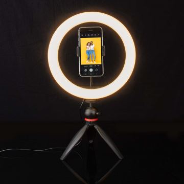 LED Zatemnitvena svetilka na stojalu z nosilcem LED/6W/USB 2700-6700K