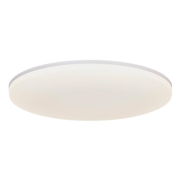 Nordlux - LED Stropna svetilka VIC LED/24W/230V IP40