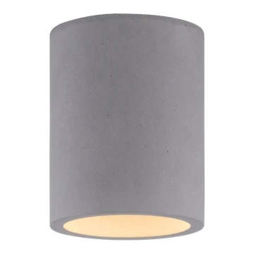 Paul Neuhaus 6160-22 - Reflektor ETON 1xGU10/10W/230V beton