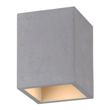 Paul Neuhaus 6161-22 - Reflektor ETON 1xGU10/10W/230V beton