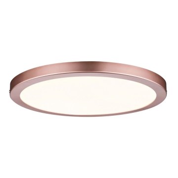 Paulmann 70872 - LED/22W Zatemnitveni panel ATRIA 230V 2700K pr. 30 cm Rosegold