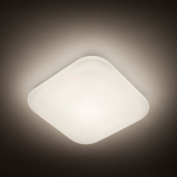 Philips - LED Stropna svetilka 1xLED/17W/230V 4000K